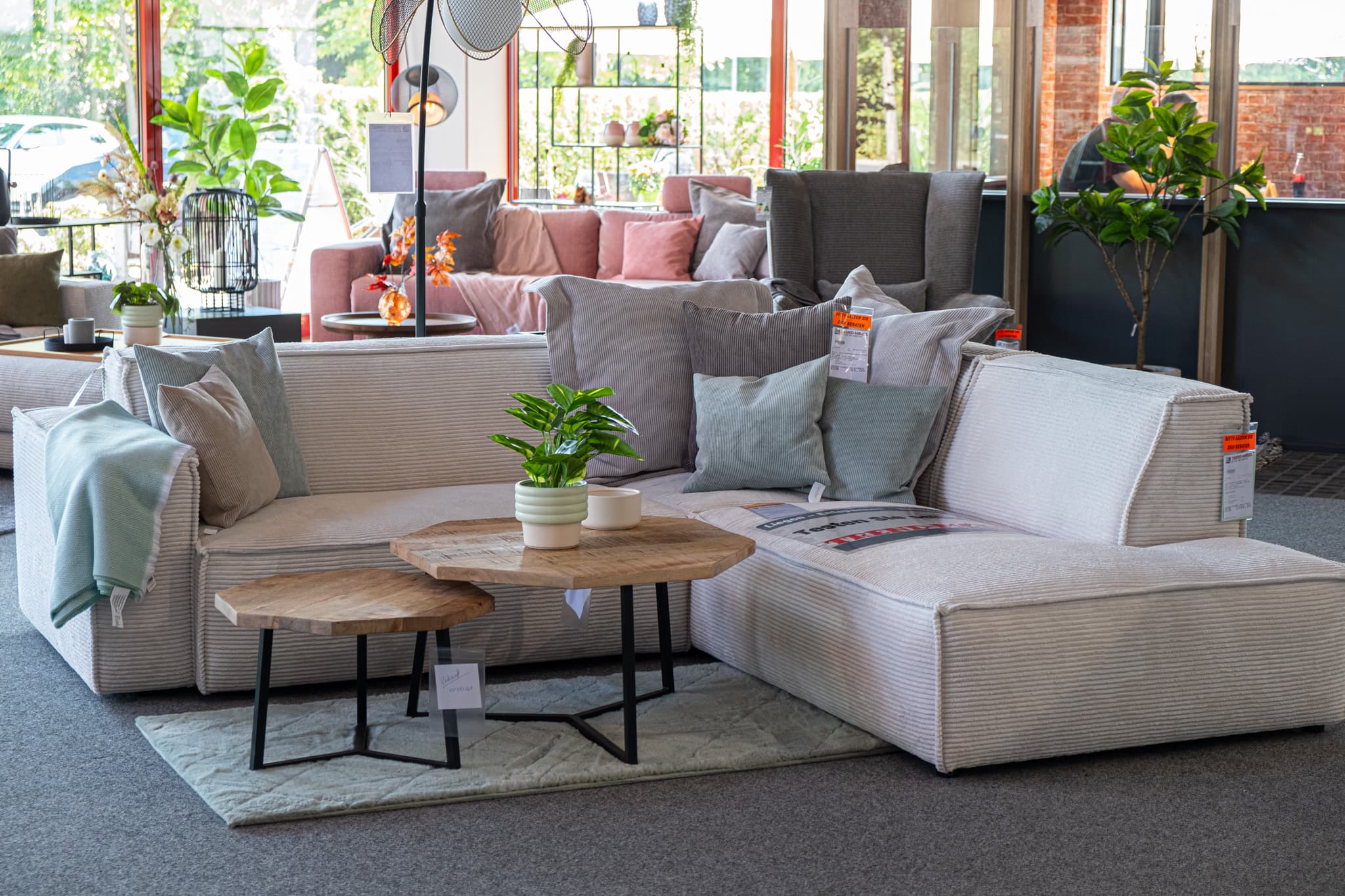 Wir haben nur 232 Sofas.